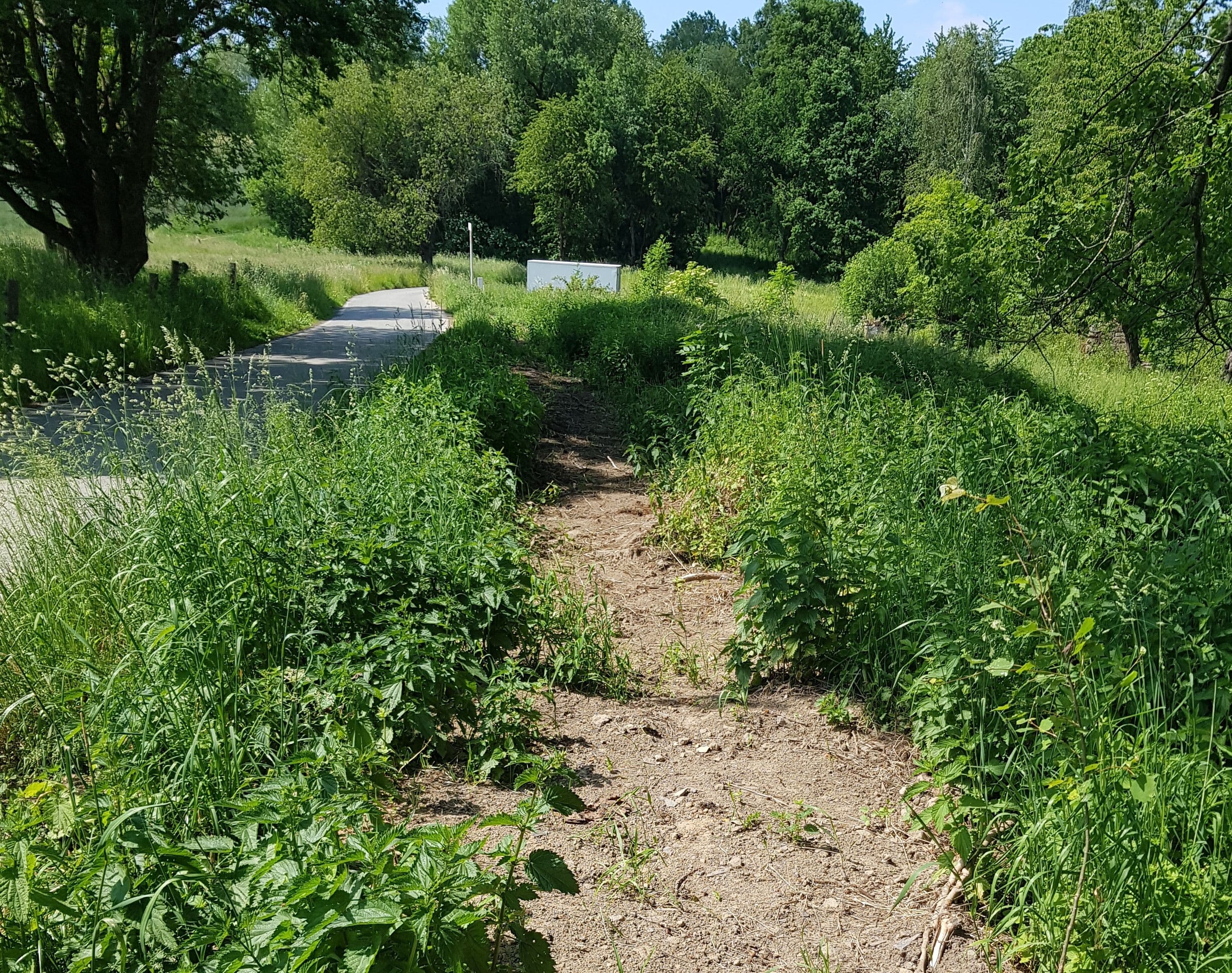 Pozemek 🌿 Pronájem části stavebního pozemku v Nové Vísce