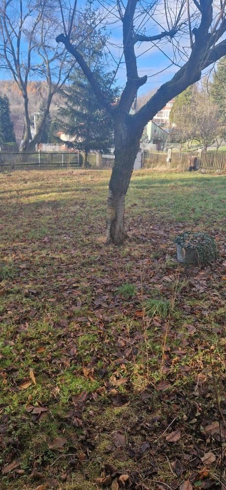 Pozemek 🏡 Pronájem stavebního pozemku v srdci přírody!