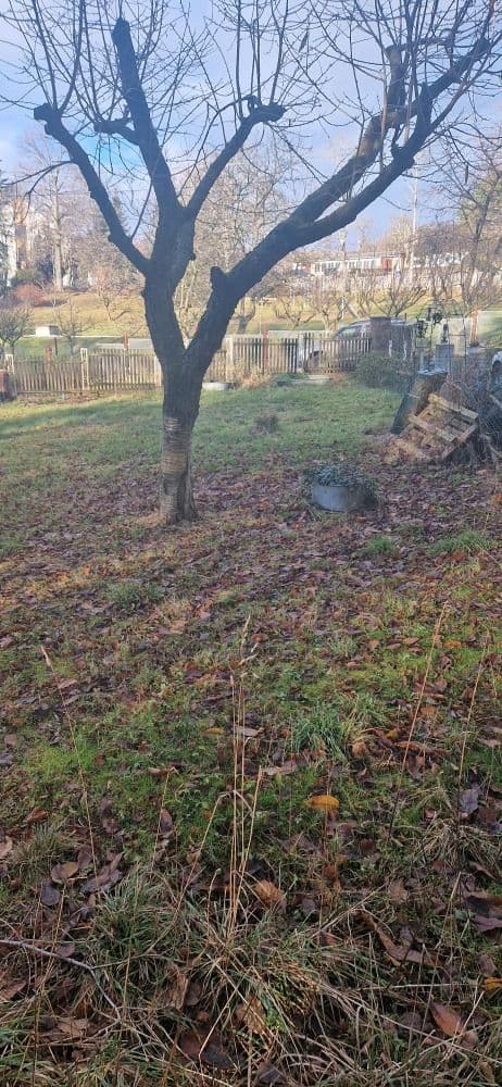 Pozemek 🏡 Pronájem stavebního pozemku v srdci přírody!