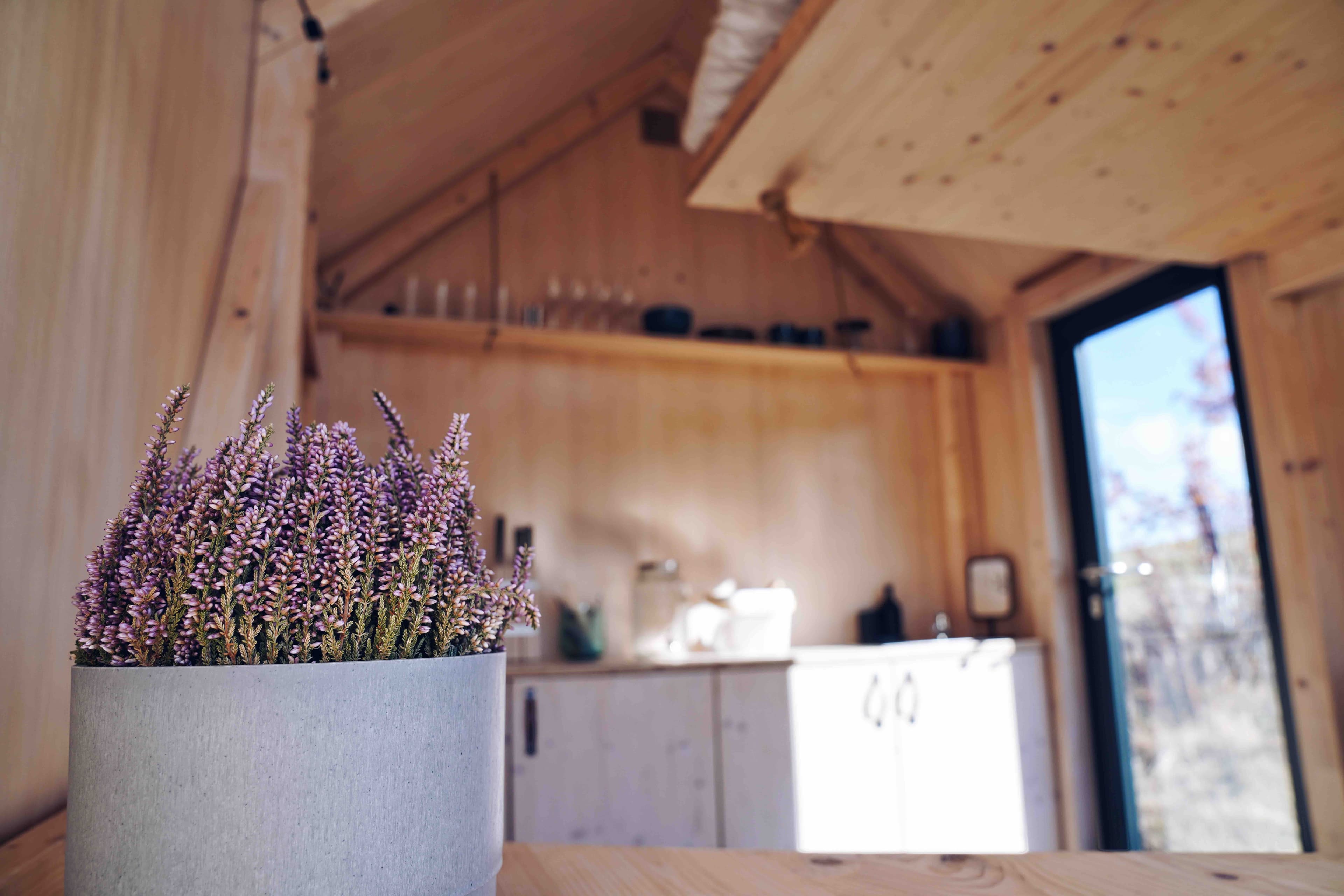 Zánovní Woodka Short ihned k dispozici 9