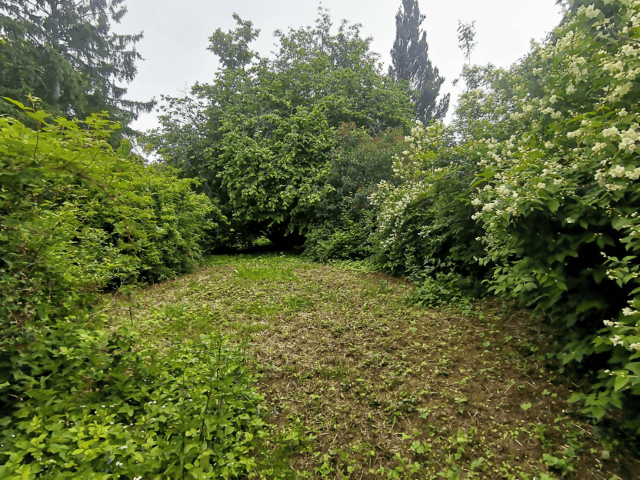 Pozemek 🏡 Pronájem kouzelného stavebního pozemku ve Velkých Popovicích – oáza klidu v přírodě!