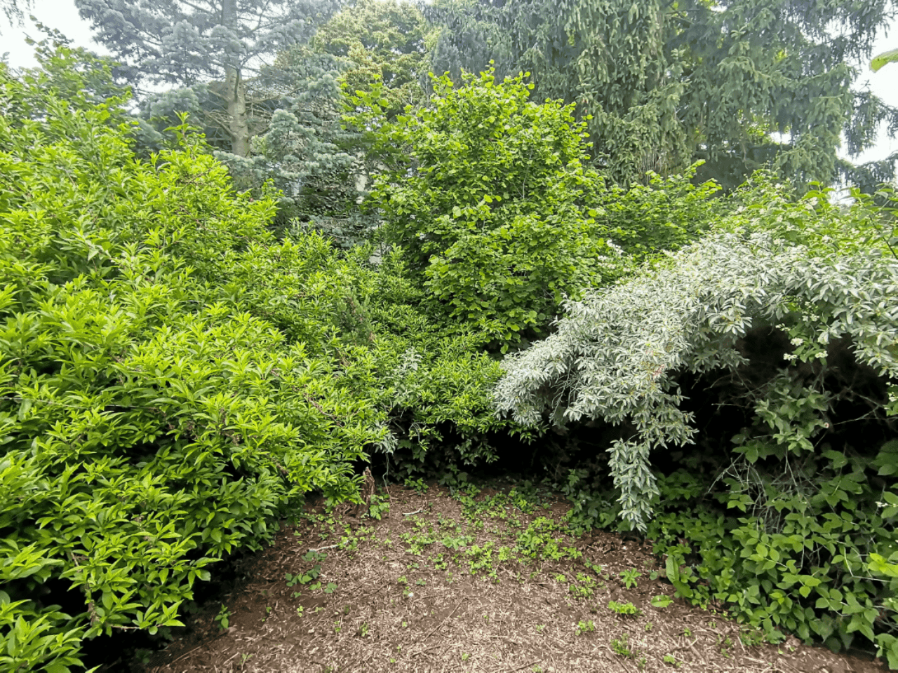 Pozemek 🏡 Pronájem kouzelného stavebního pozemku ve Velkých Popovicích – oáza klidu v přírodě!