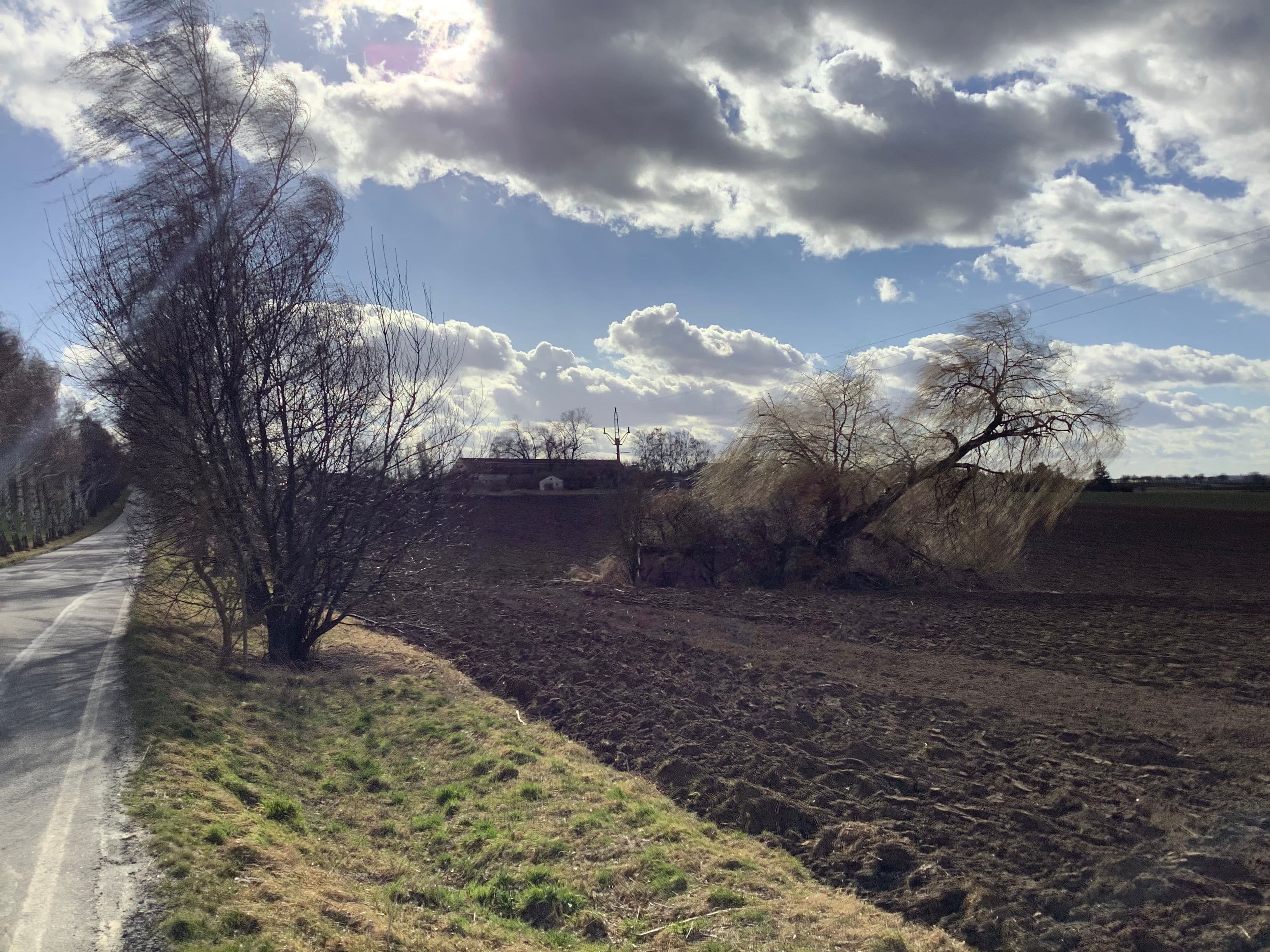 Pozemek Soubor pozemků s krásnou vrbou v Mančicích