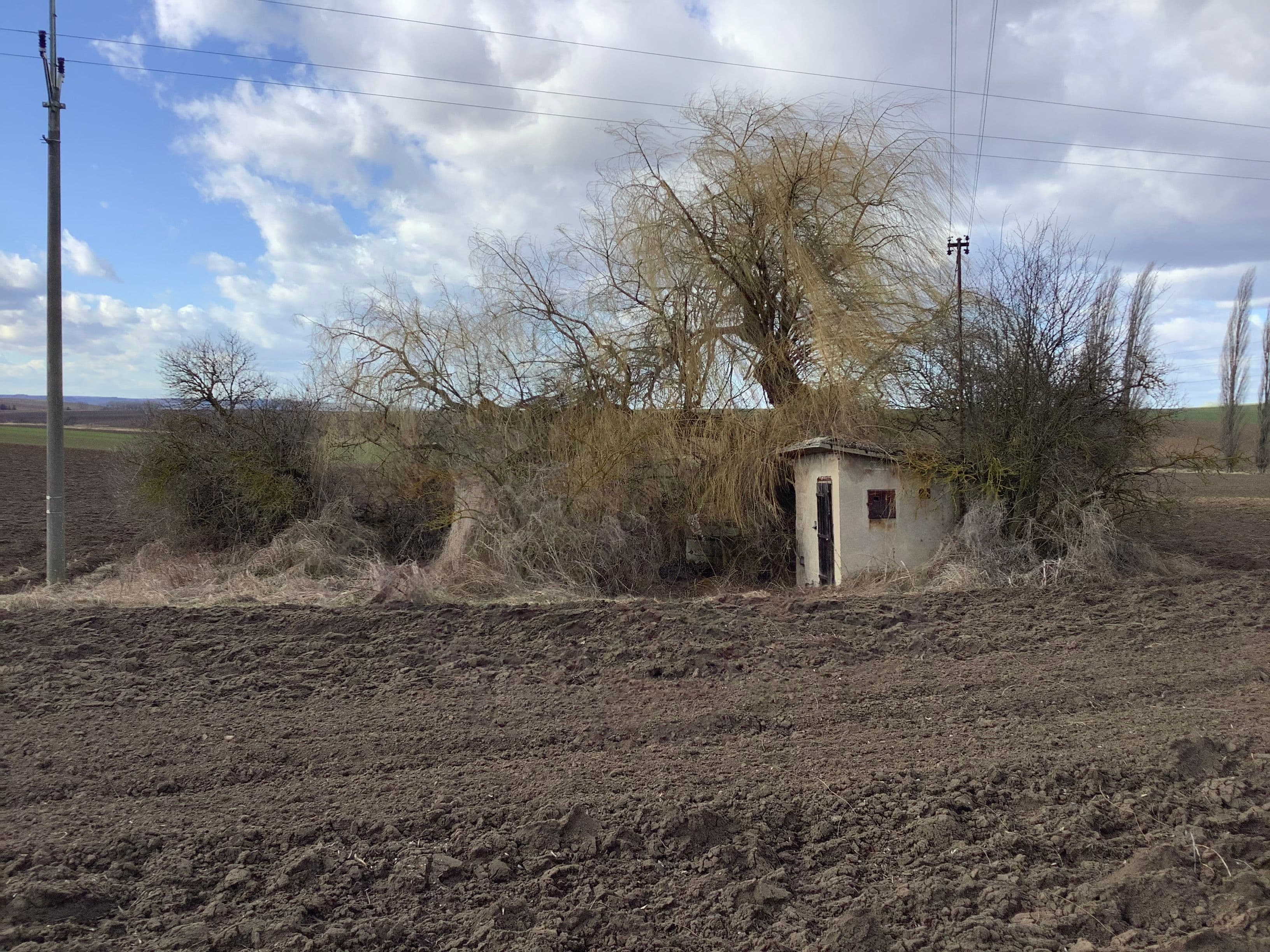 Pozemek Soubor pozemků s krásnou vrbou v Mančicích