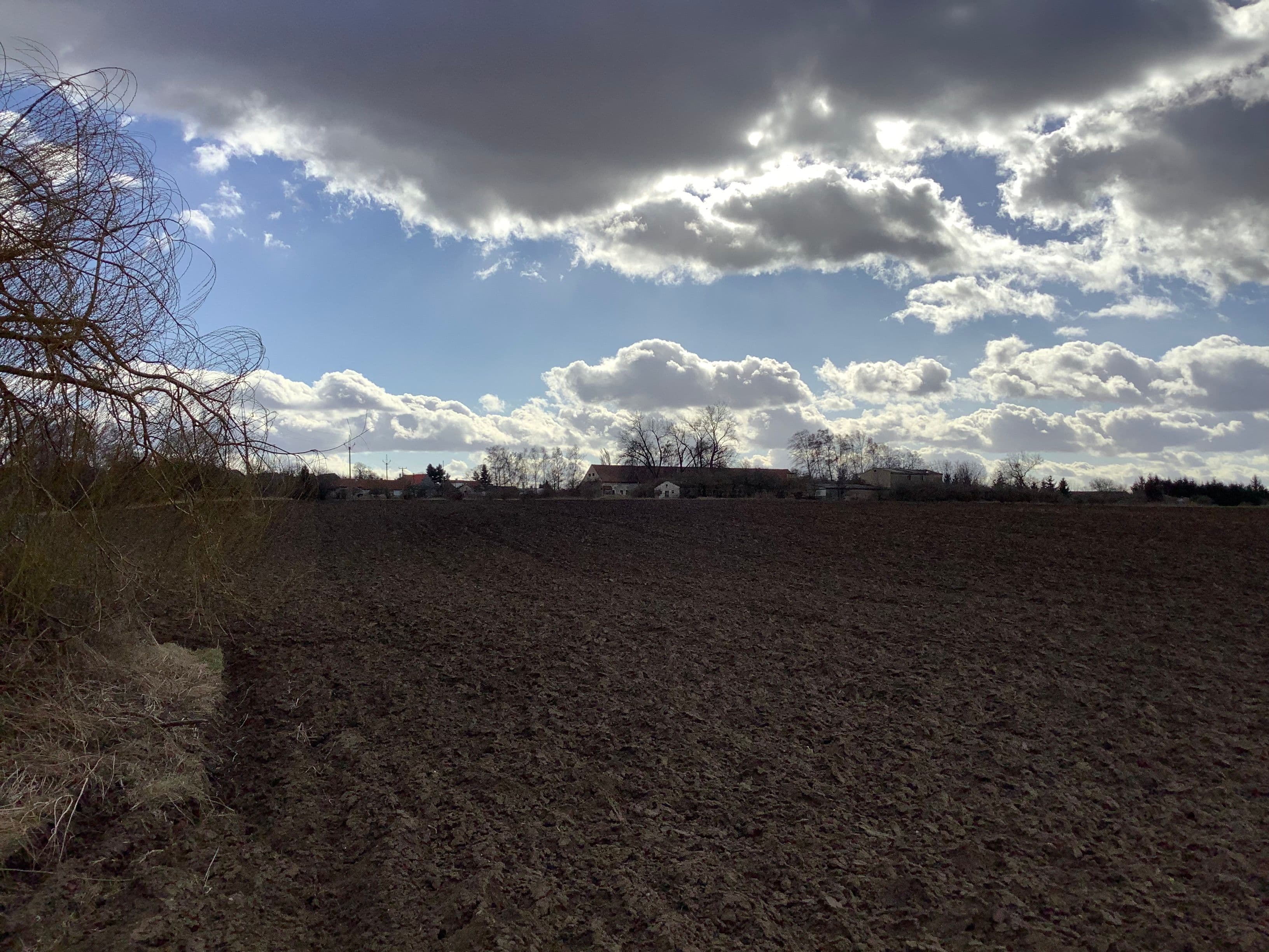 Pozemek Soubor pozemků s krásnou vrbou v Mančicích