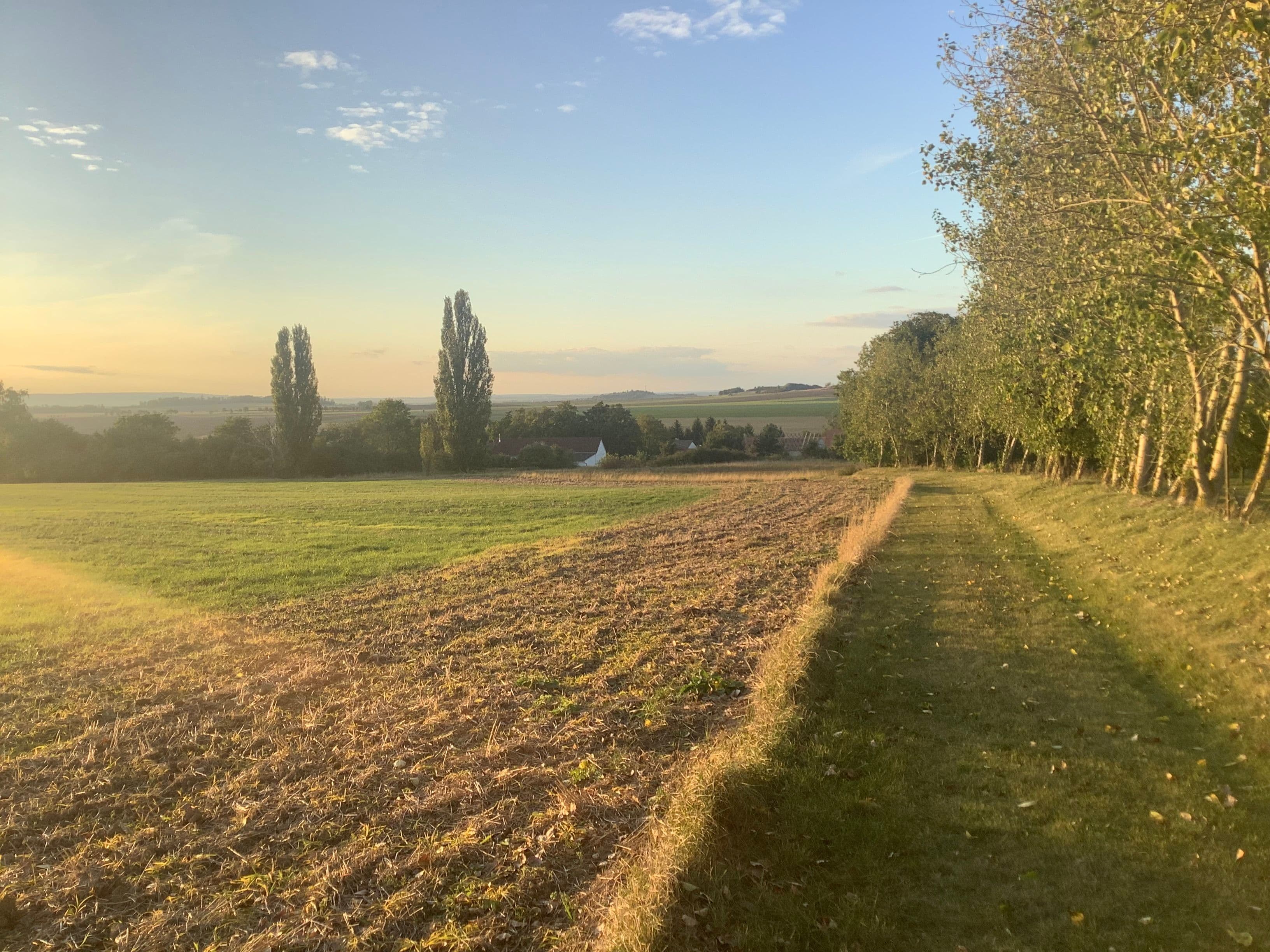 Pozemek Pozemek s loukou a statným ořešákem v Mančicích vhodný pro tiny house