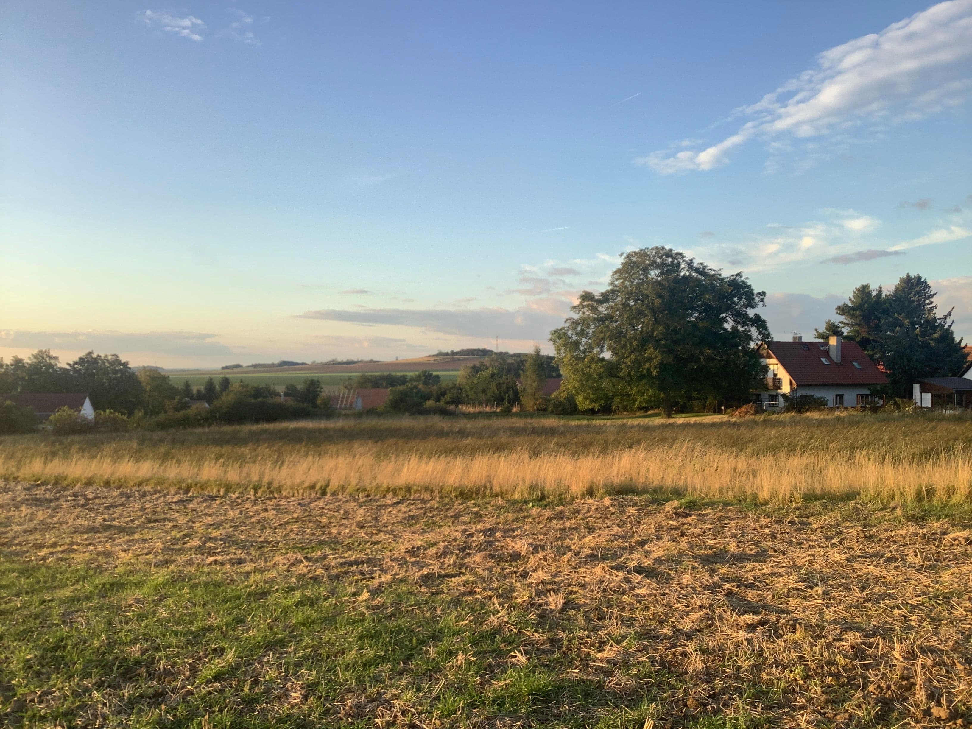 Pozemek Pozemek s loukou a statným ořešákem v Mančicích vhodný pro tiny house