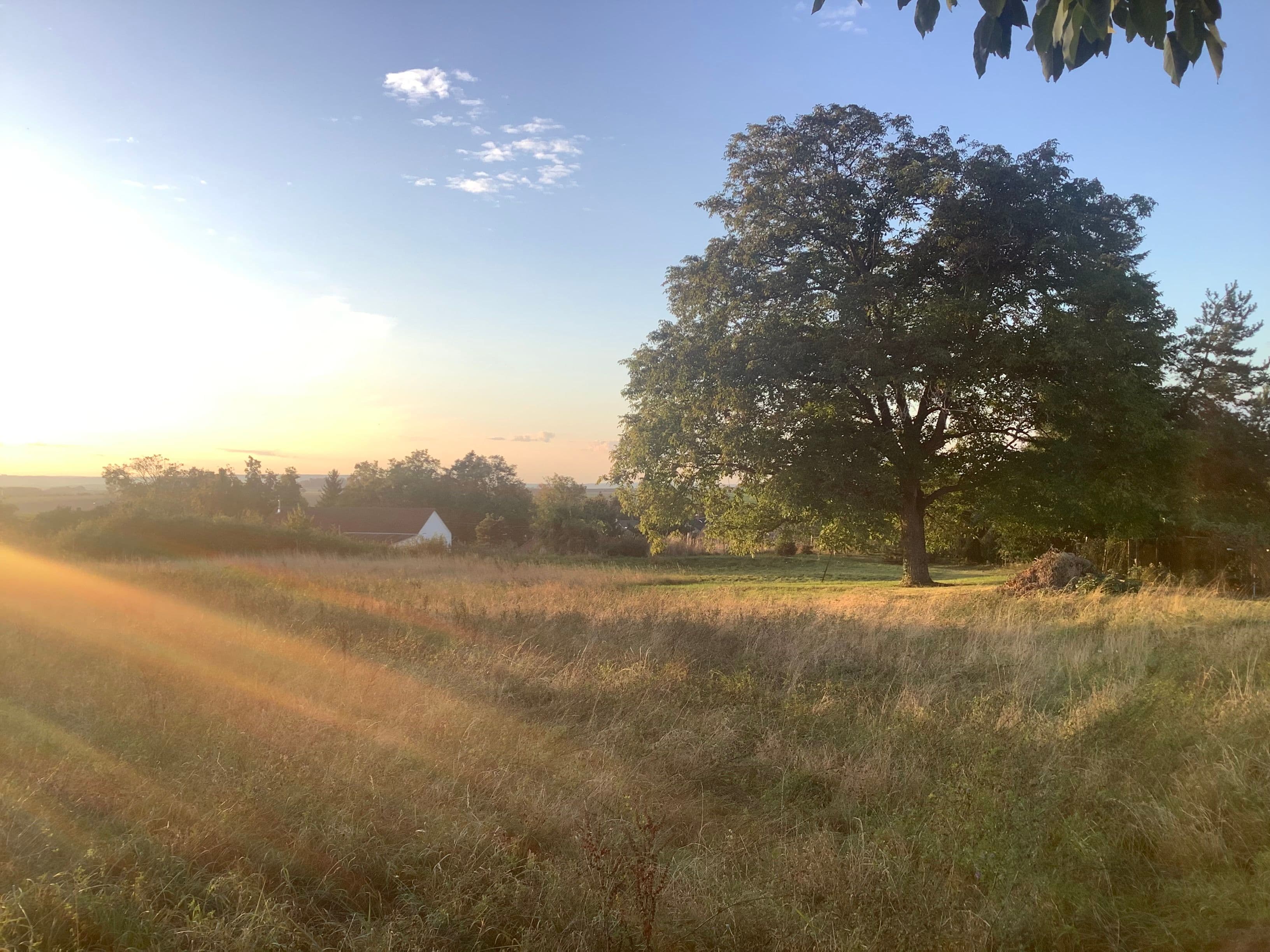 Pozemek Pozemek s loukou a statným ořešákem v Mančicích vhodný pro tiny house