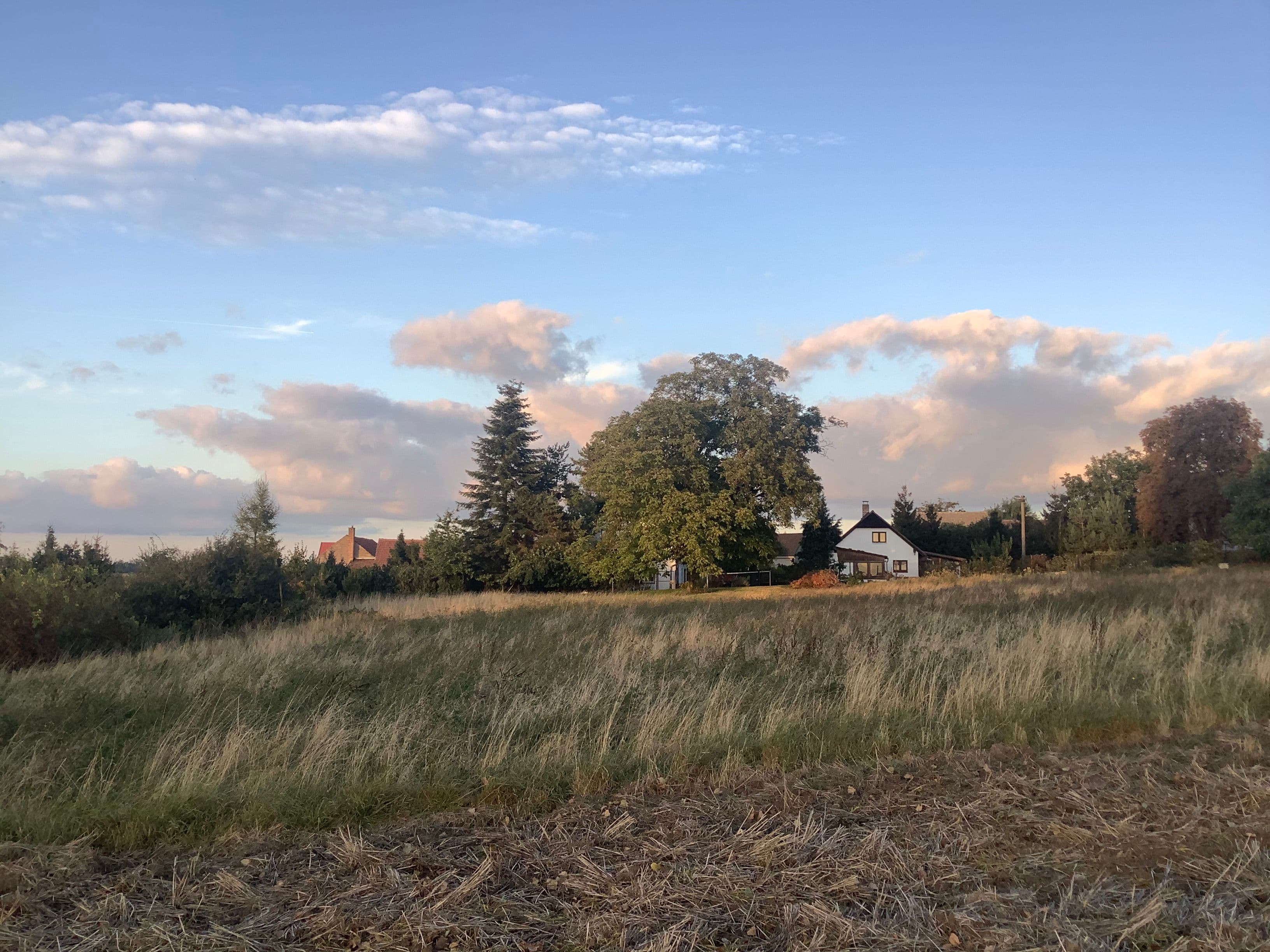 Pozemek Pozemek s loukou a statným ořešákem v Mančicích vhodný pro tiny house