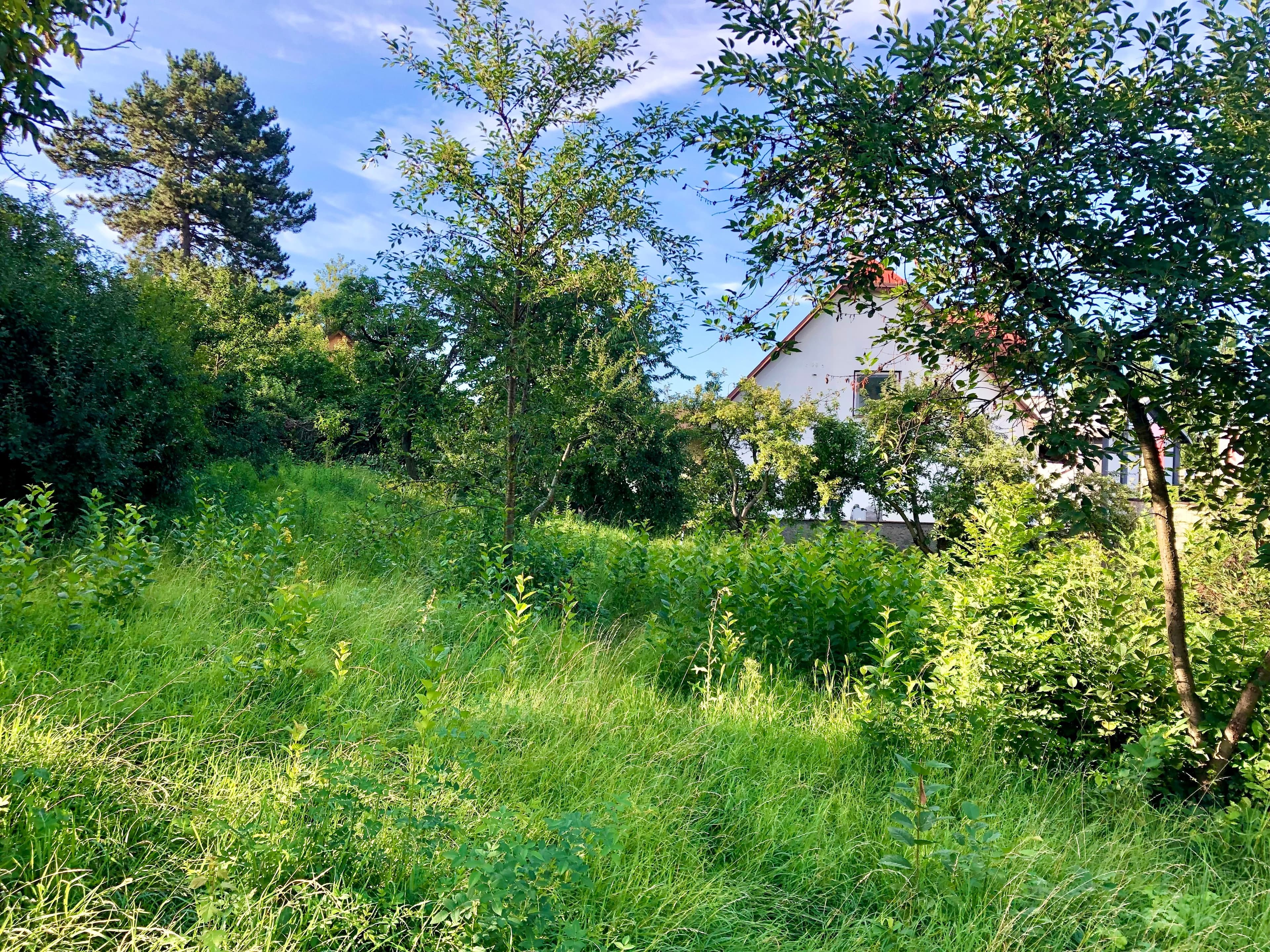 Pozemek 🏡 Pronájem stavebního pozemku v Praze – Čakovicích