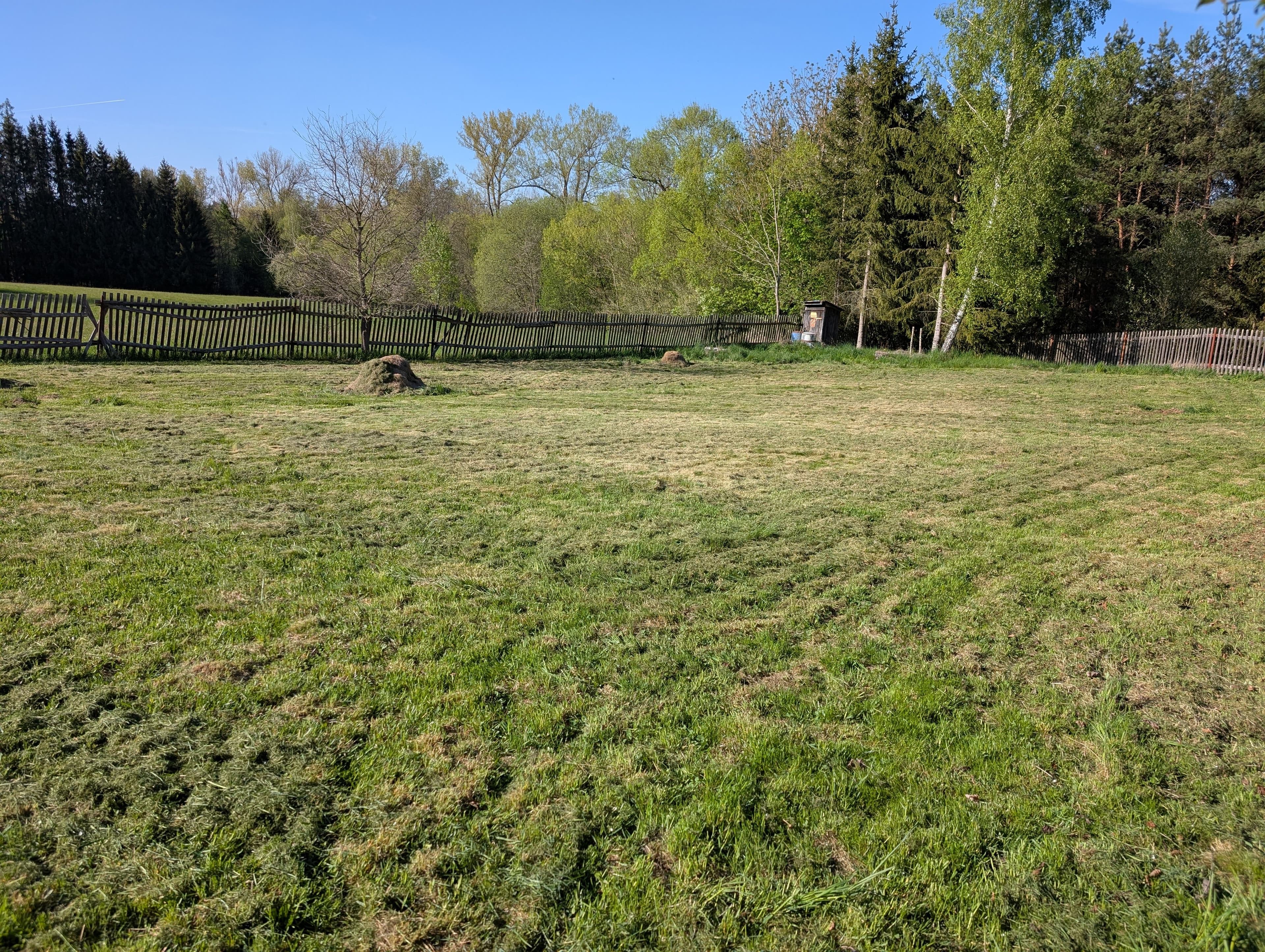 Pozemek 🏡 Pronájem části pozemku v obci Jedlany – pro rekreační nebo trvalé bydlení v přírodě
