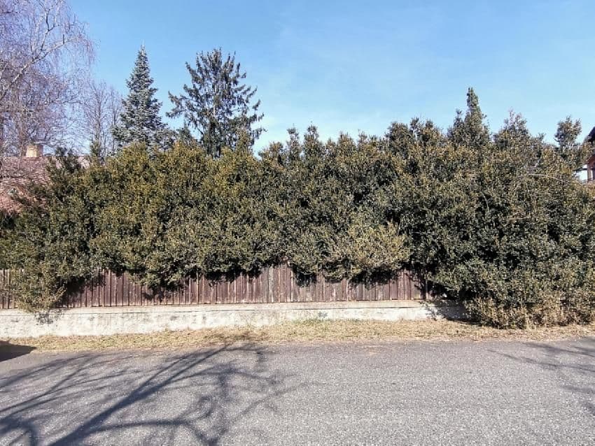 Pozemek 🏡 Pronájem kouzelného stavebního pozemku ve Velkých Popovicích – oáza klidu v přírodě!