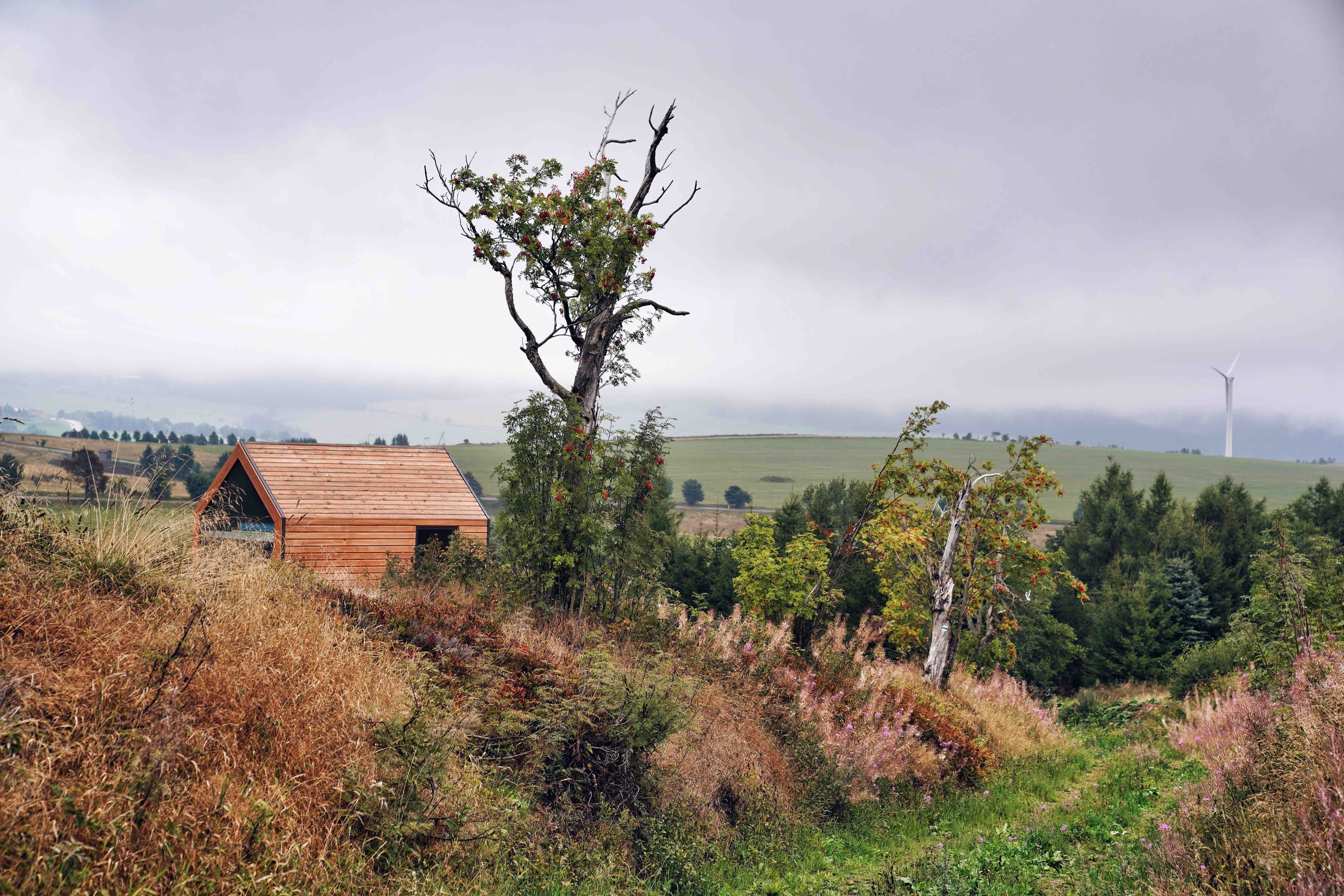 Zánovní Woodka Short ihned k dispozici 3