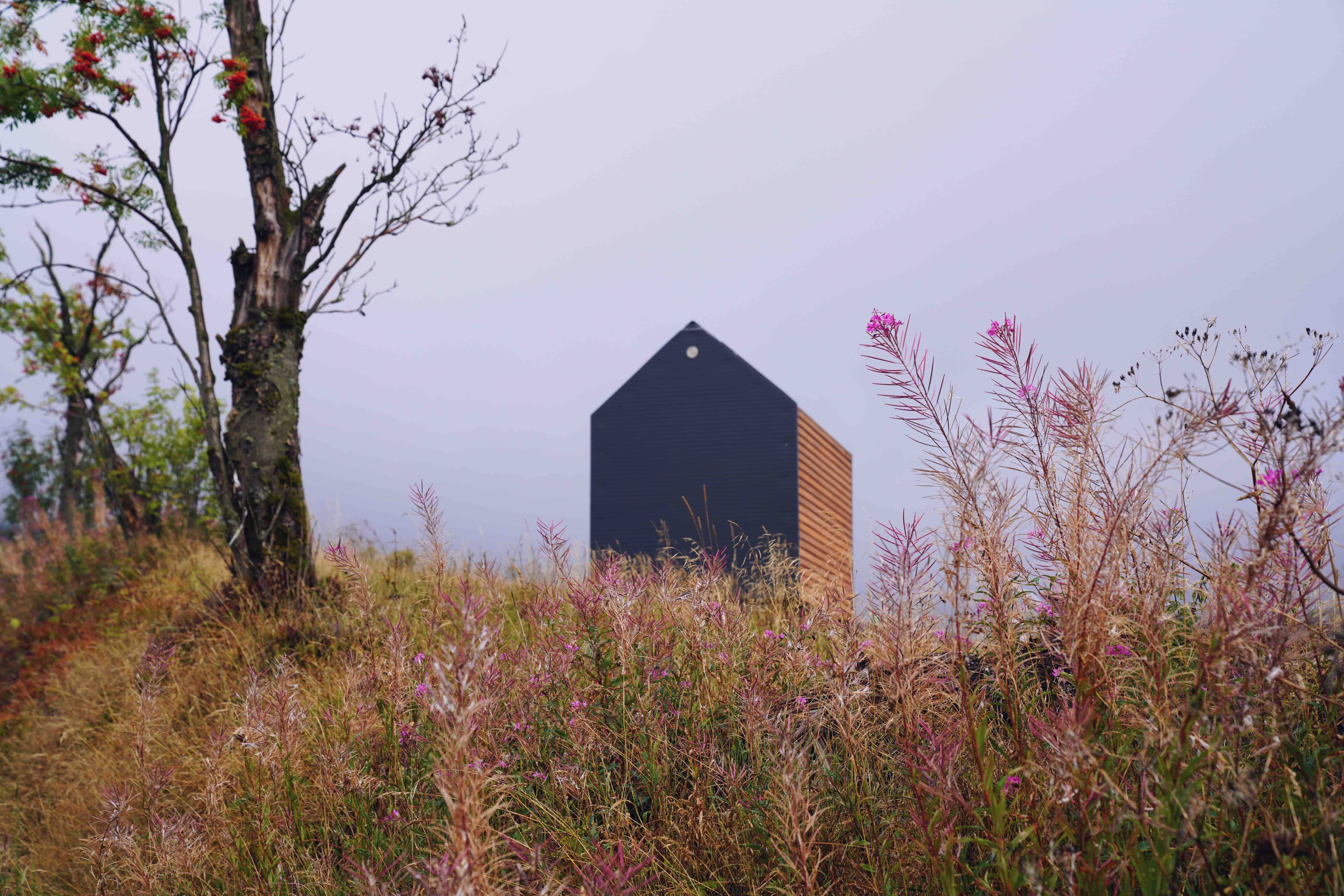 Zánovní Woodka Short ihned k dispozici 2