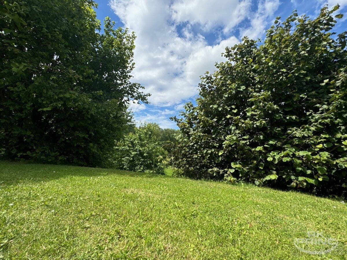 Pozemek Prodej pozemkku o velikosti 7.273 m2 v obci Třeboc, Rakovník - Rakovník | Bazoš.cz