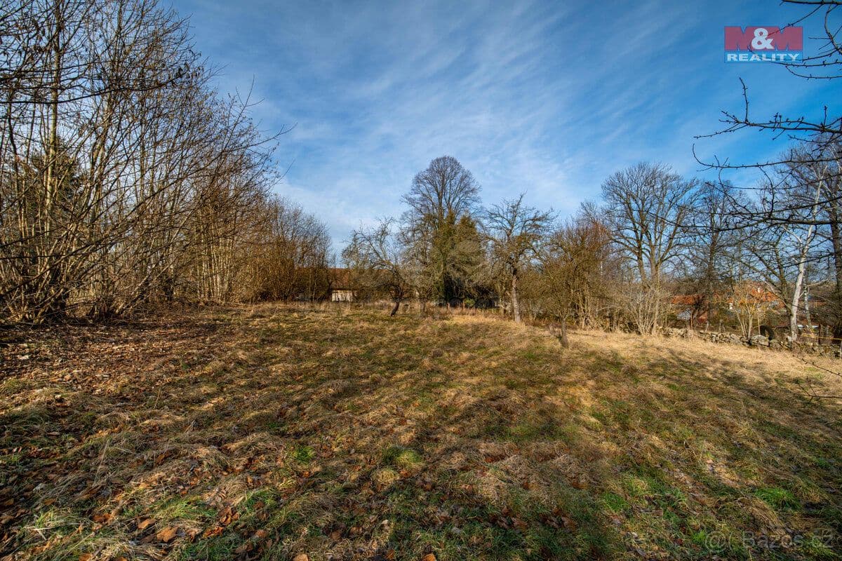 Pozemek Prodej pozemku k bydlení, 3049 m², Proseč - Česká Rybná - Chrudim | Bazoš.cz