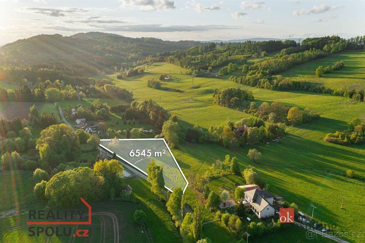 Pozemek Prodej, pozemky/bydlení, 6545 m2, Tuhaň 30, Stružinec, - Semily | Bazoš.cz 