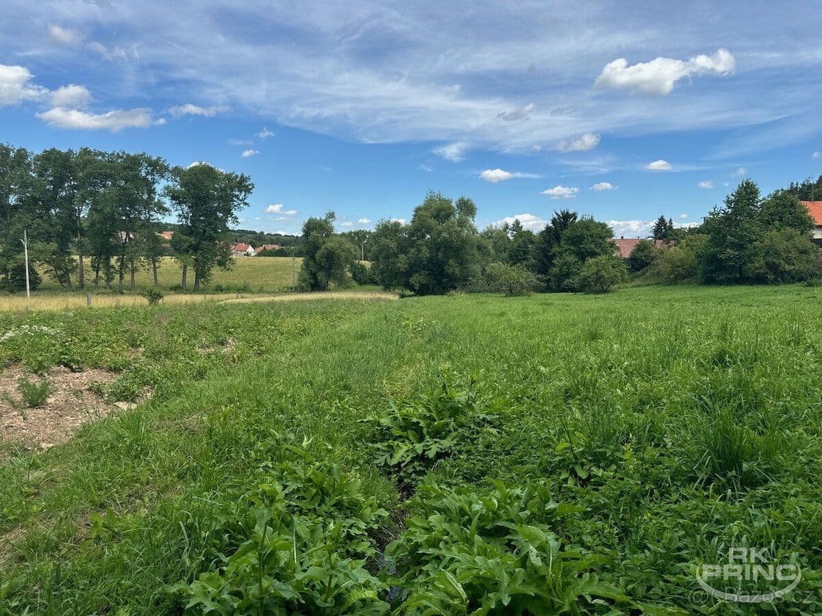 Pozemek Prodej pozemkku o velikosti 7.273 m2 v obci Třeboc, Rakovník - Rakovník | Bazoš.cz