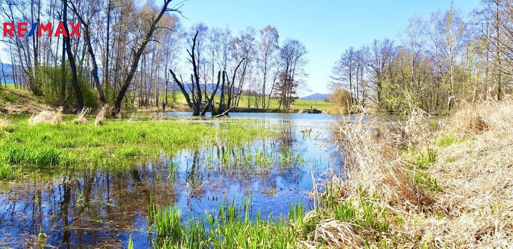 Pozemek Prodej pozemku 8 558 m²