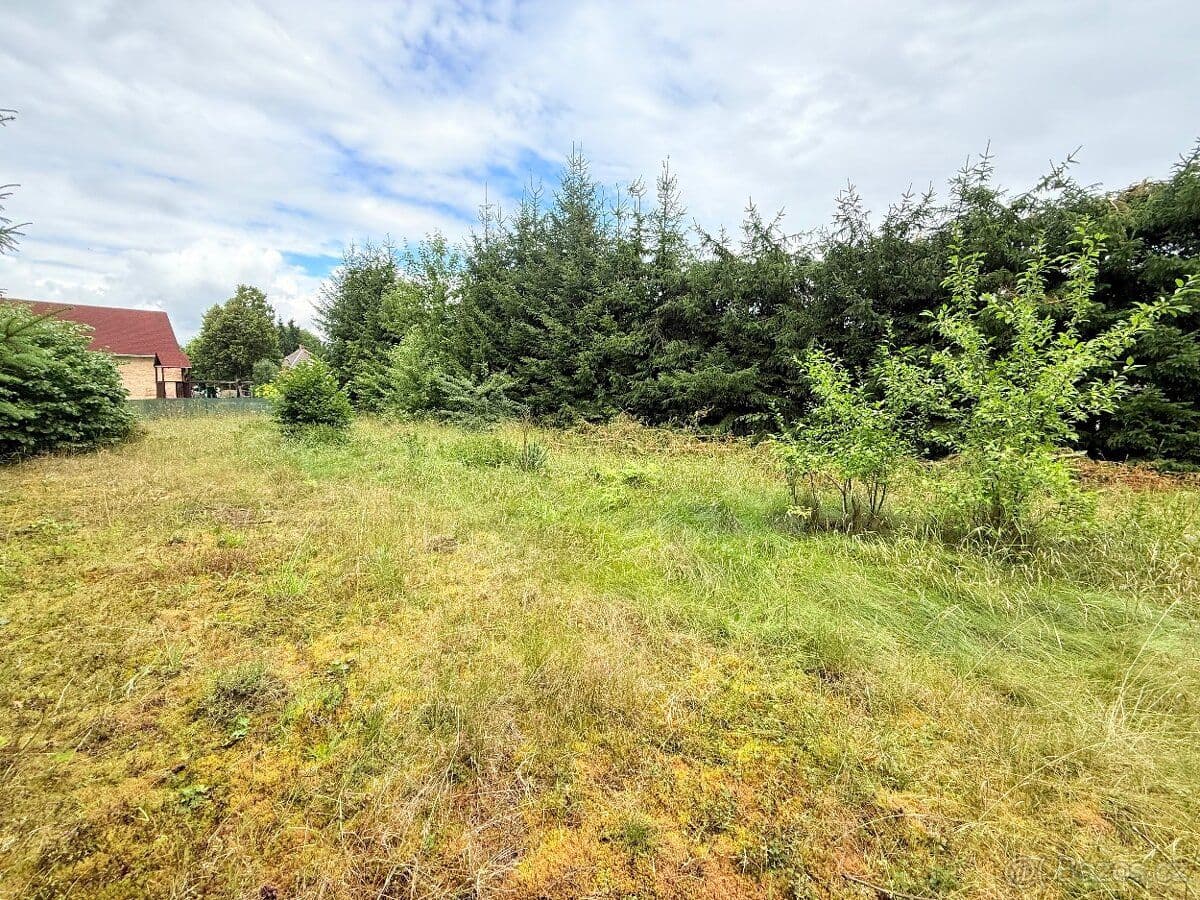 Pozemek Stavební pozemek 973 m2 – Staré Sedliště, okres Tachov - Tachov | Bazoš.cz