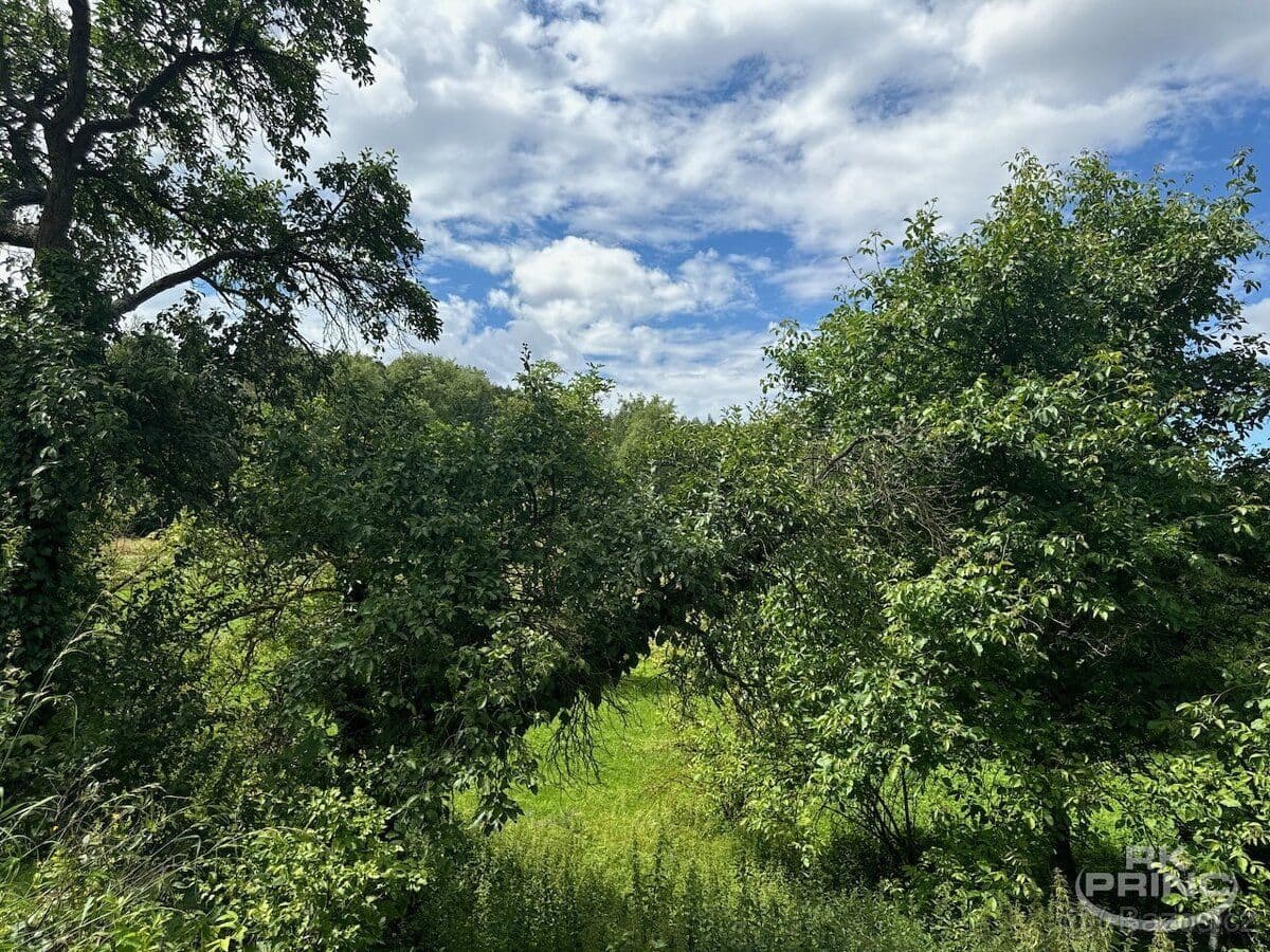 Pozemek Prodej pozemkku o velikosti 7.273 m2 v obci Třeboc, Rakovník - Rakovník | Bazoš.cz