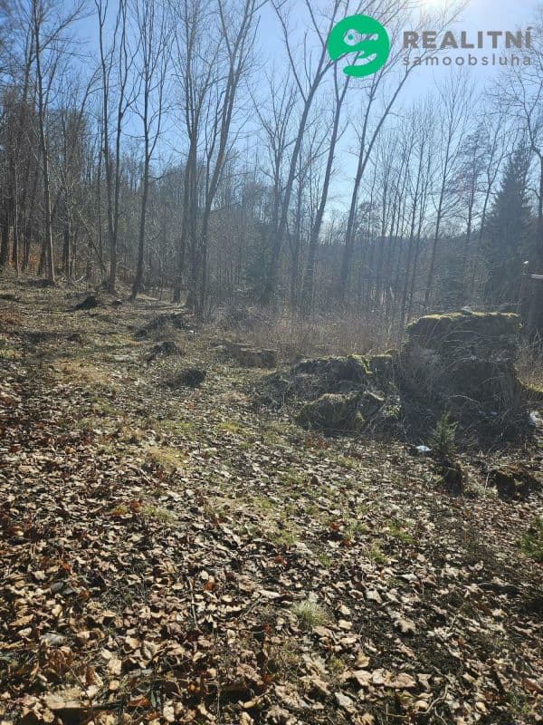 Pozemek Pozemek Stará Ves u Vysokého nad Jizerou - Semily | Bazoš.cz