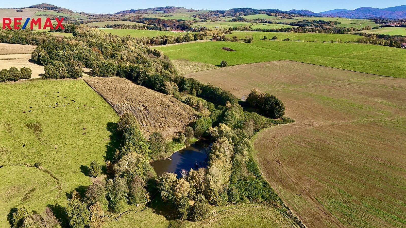 Pozemek Prodej pozemku 8 558 m²