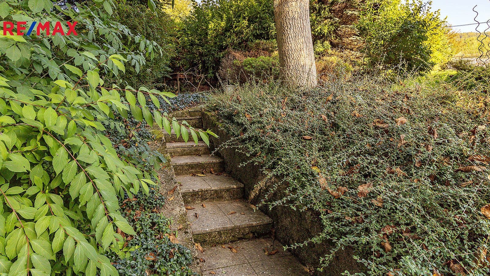 Pozemek Prodej stavebního pozemku 863 m²