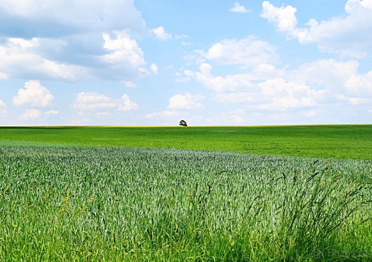 Pozemek Prodej pozemku pro bydlení - Dlouhá Loučka - Svitavy | Bazoš.cz