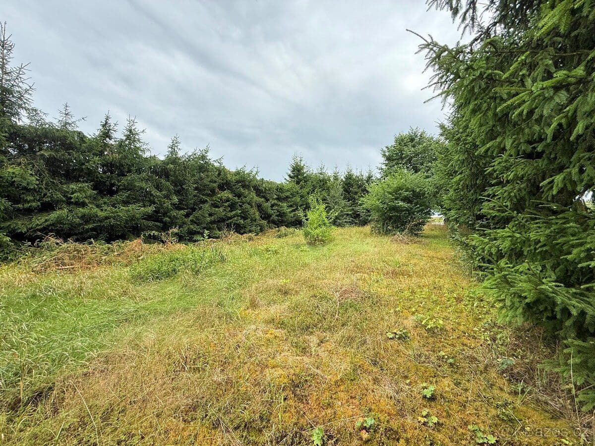 Pozemek Stavební pozemek 973 m2 – Staré Sedliště, okres Tachov - Tachov | Bazoš.cz