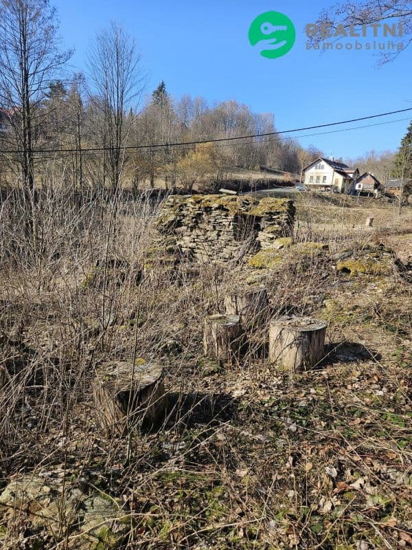 Pozemek Pozemek Stará Ves u Vysokého nad Jizerou - Semily | Bazoš.cz