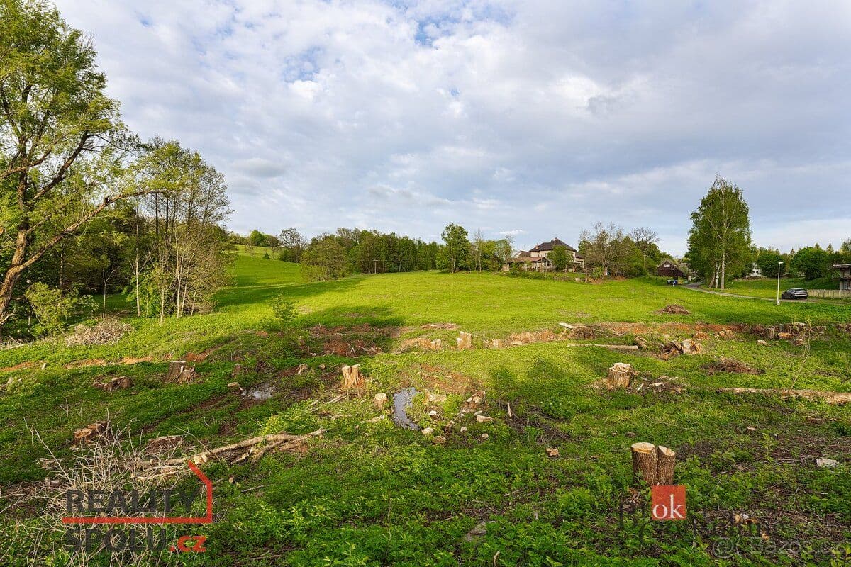 Pozemek Prodej, pozemky/bydlení, 6545 m2, Tuhaň 30, 51251 Stružinec, - Semily | Bazoš.cz