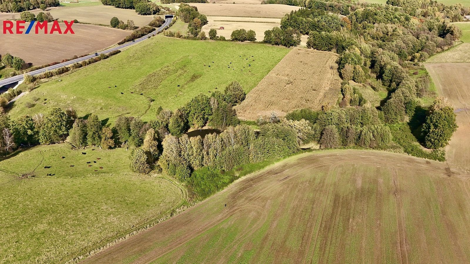 Pozemek Prodej pozemku 8 558 m²