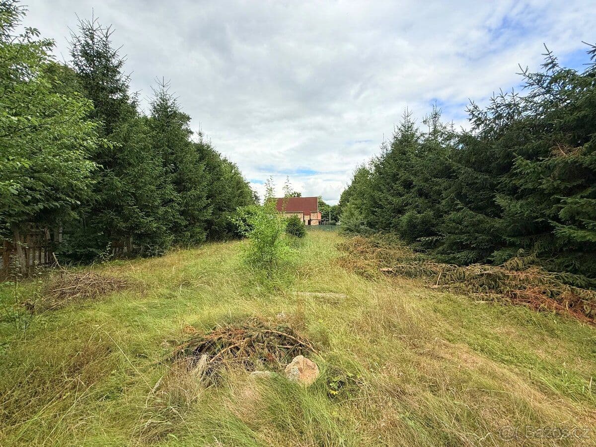 Pozemek Stavební pozemek 973 m2 – Staré Sedliště, okres Tachov - Tachov | Bazoš.cz