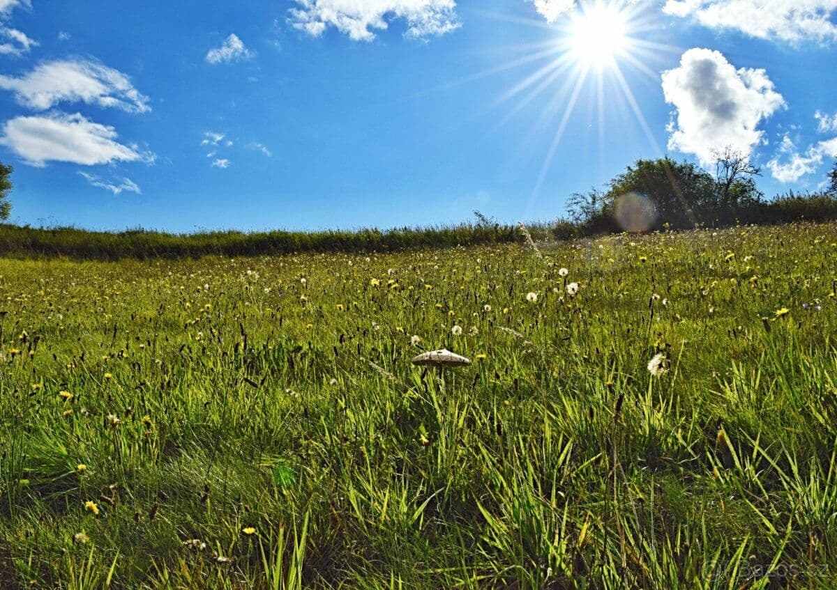 Pozemek Prodej velkého pozemku v Hnátnici - Ústí nad Orlicí | Bazoš.cz