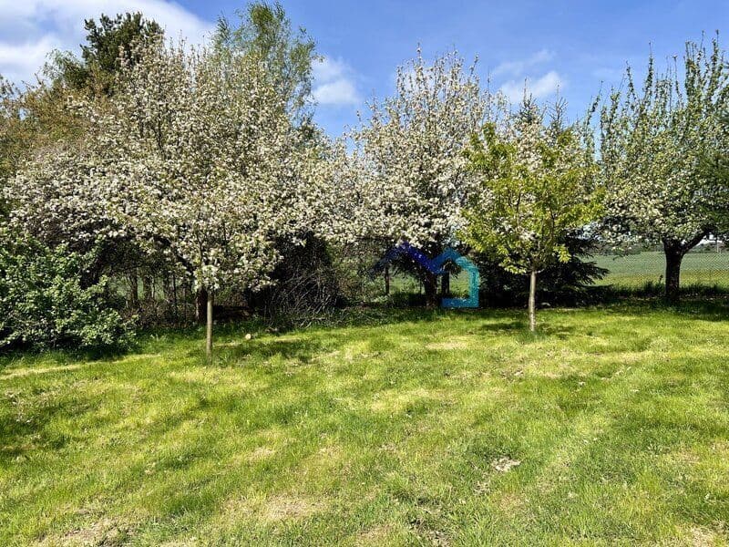 Pozemek Prodej stavebního pozemku 3538 m², obec Březovice u Hořic - Jičín | Bazoš.cz