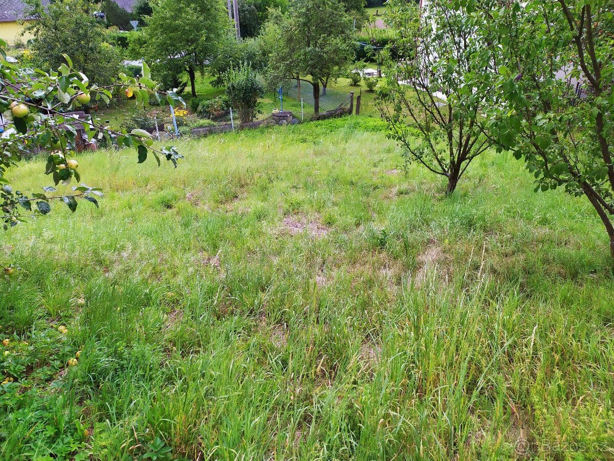 Pozemek Stavební pozemek v čisté přírodě 828 m² v Dlouhomilově - Olomouc | Bazoš.cz