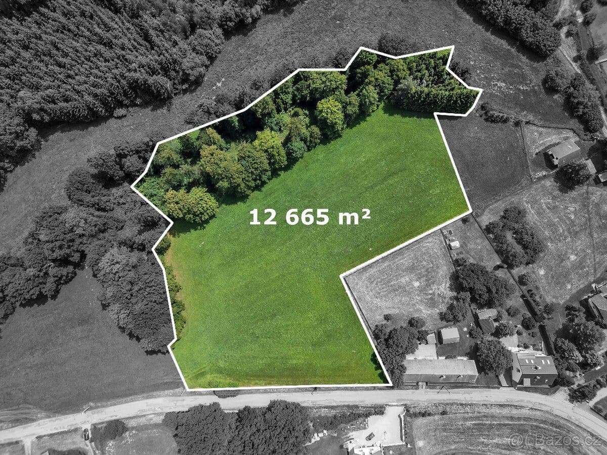 Pozemek Pozemky s potenciálem výnosu - Havlíčkův Brod | Bazoš.cz