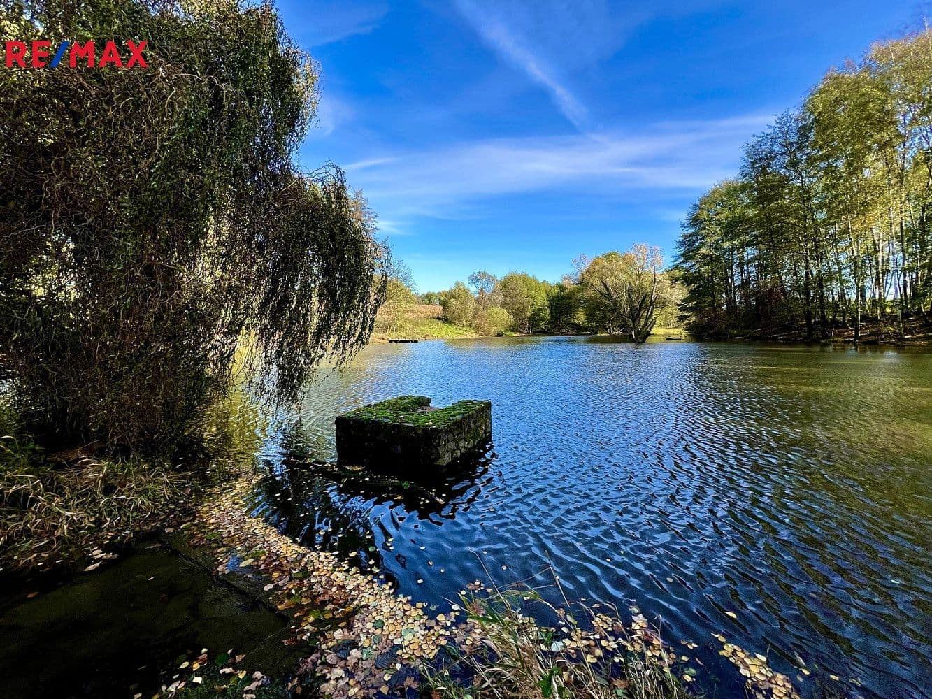 Pozemek Prodej pozemku 8 558 m²