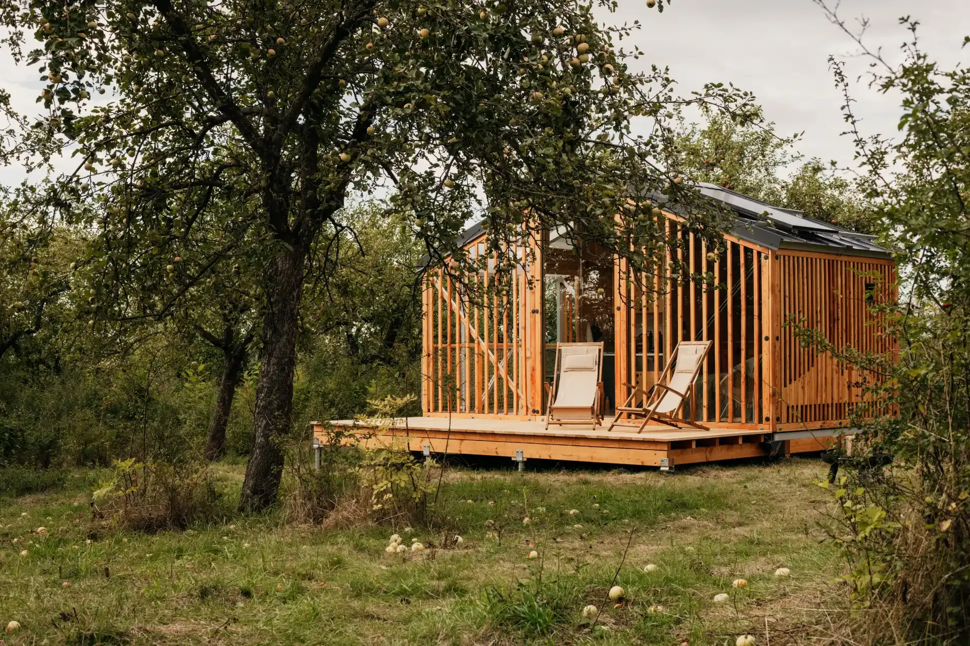 Glamping na prodej: Útulna v sadu 30min od Prahy 11