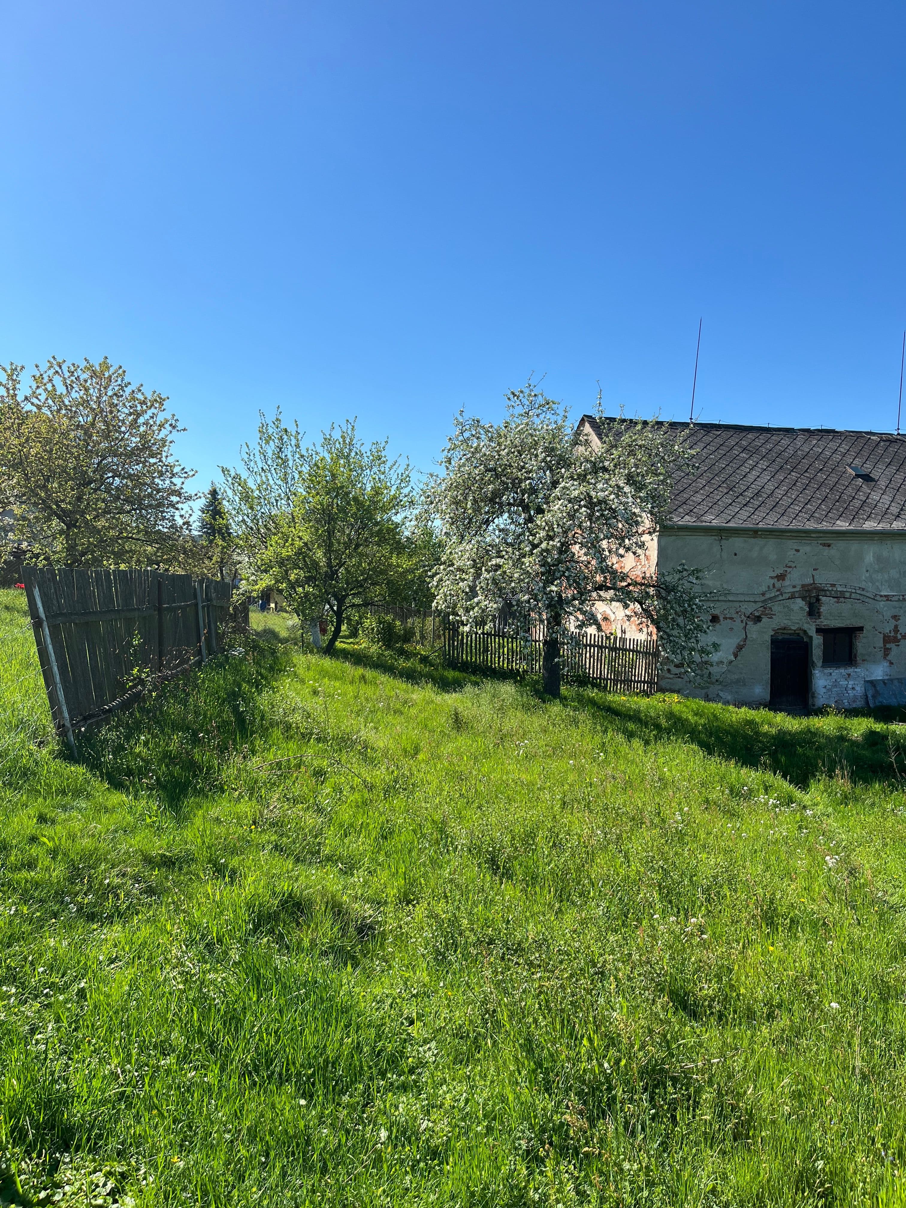 Pozemek 🏡 Dlouhodobý pronájem pozemku se zelení – Křemačov u Mohelnice Pozemek 🏡 Dlouhodobý pronájem pozemku se zelení – Křemačov u Mohelnice