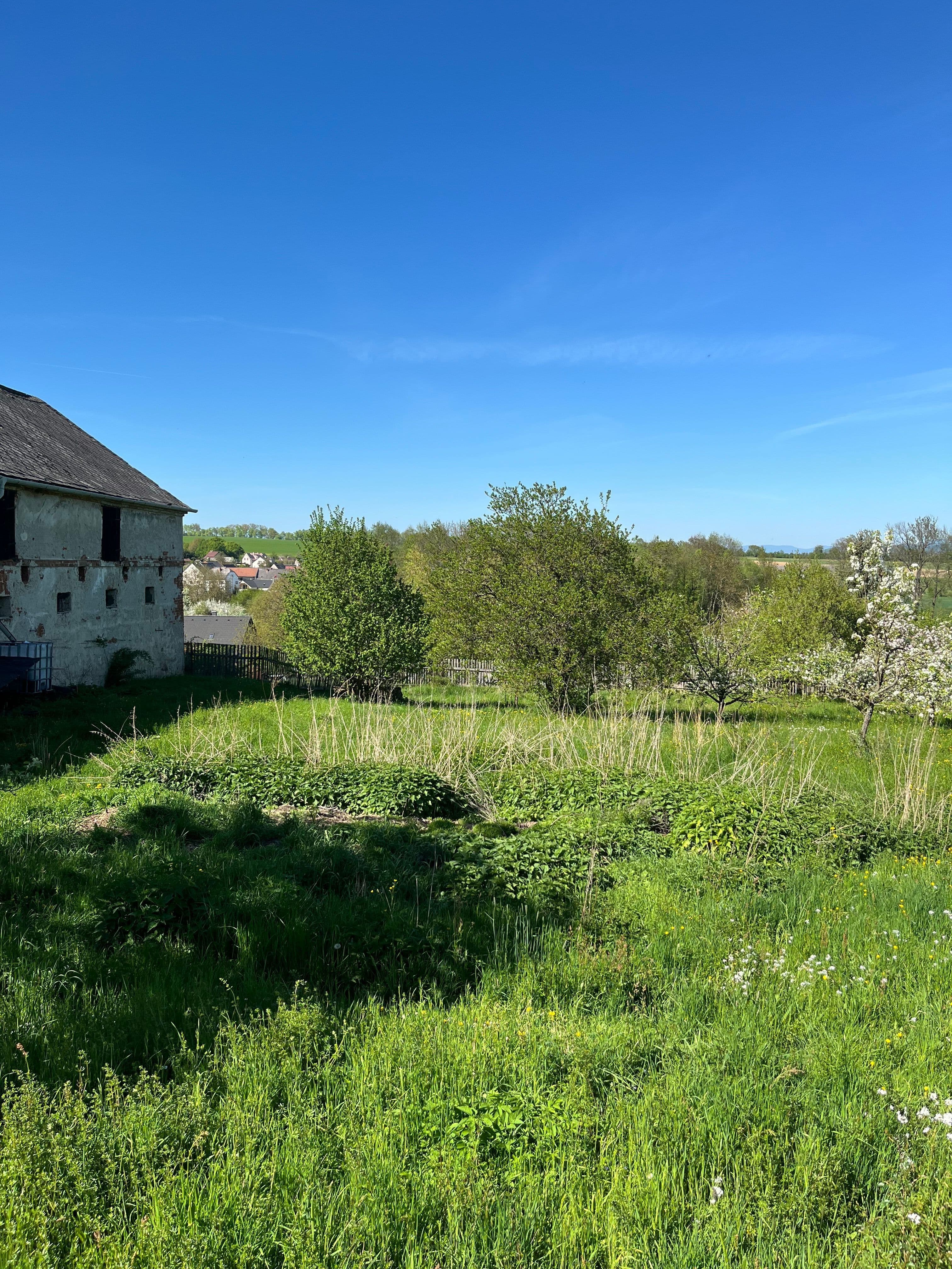Pozemek 🏡 Dlouhodobý pronájem pozemku se zelení – Křemačov u Mohelnice Pozemek 🏡 Dlouhodobý pronájem pozemku se zelení – Křemačov u Mohelnice