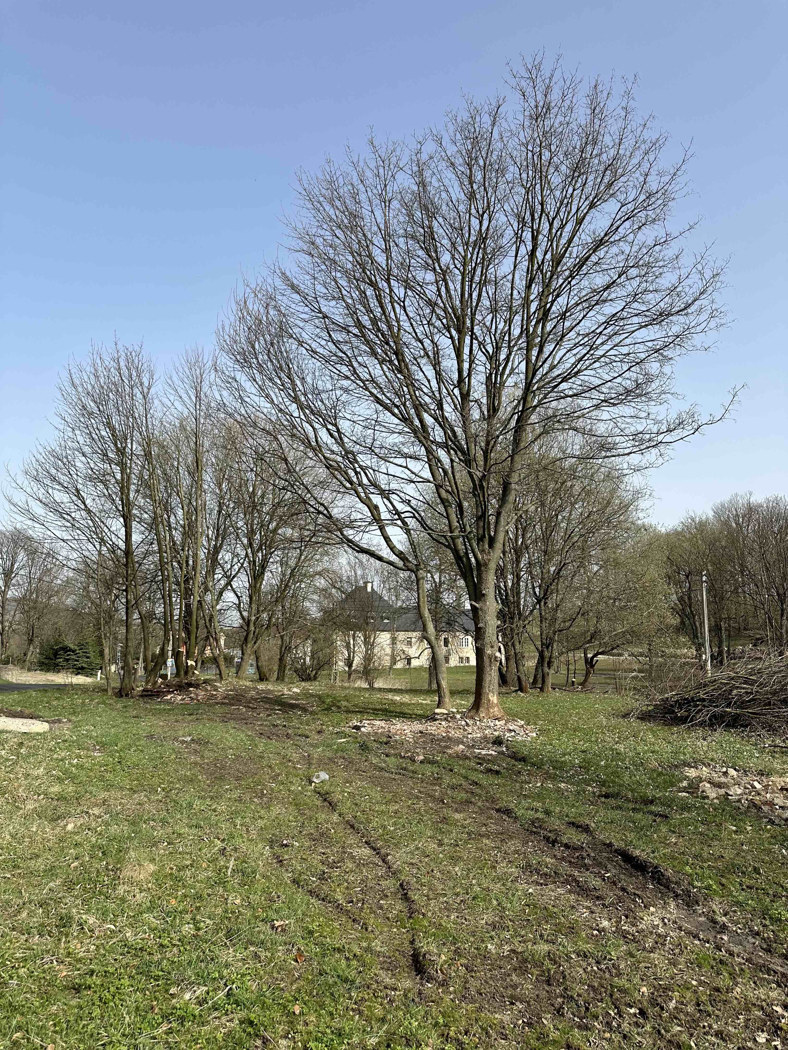 Pozemek Prodej krásného, slunného stavebního pozemku | 1408 Kč/m2