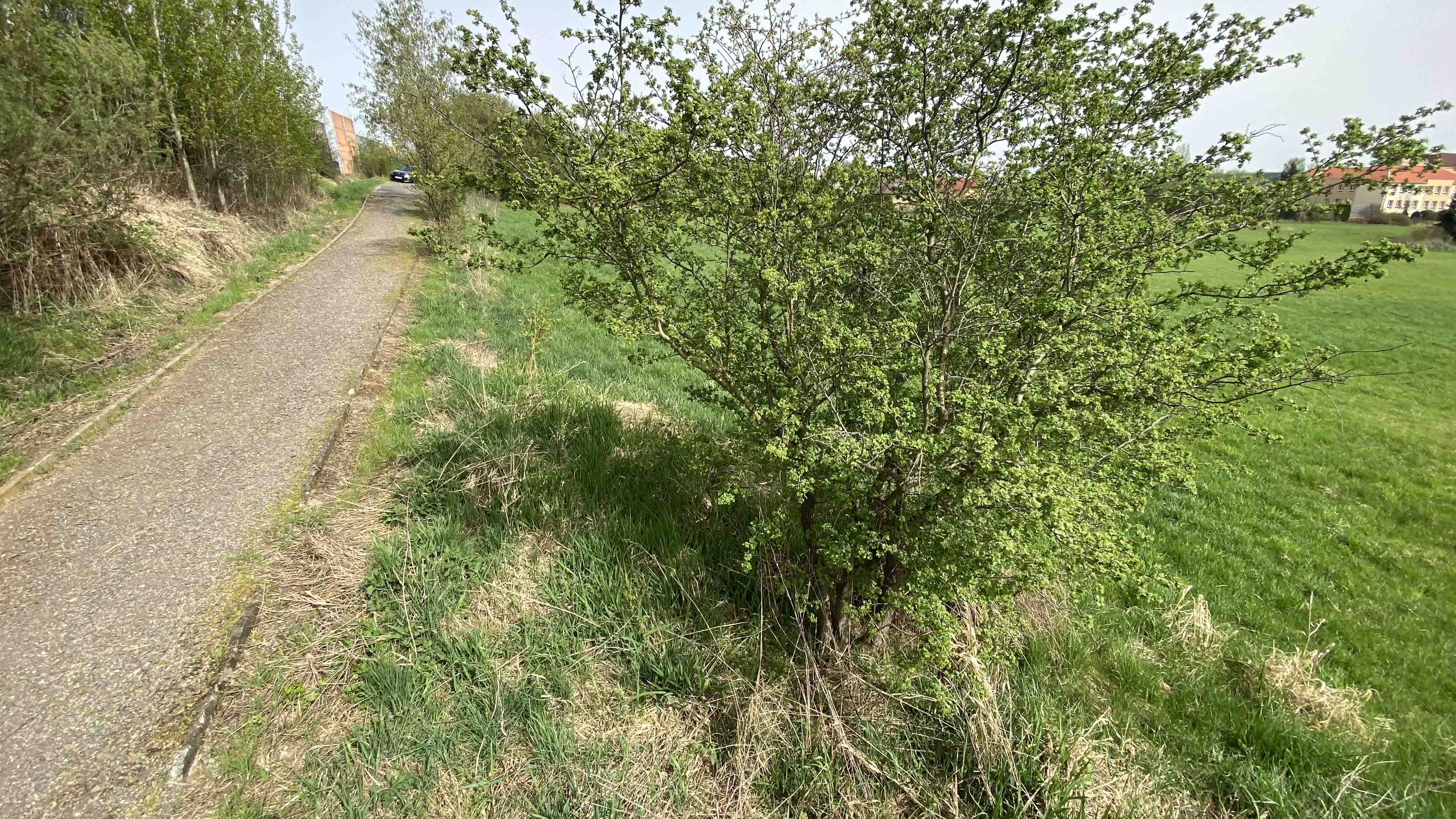 Pozemek Možnost až tří pozemků pro malou komunitu lidí v Mýtě nedaleko Rokycan.