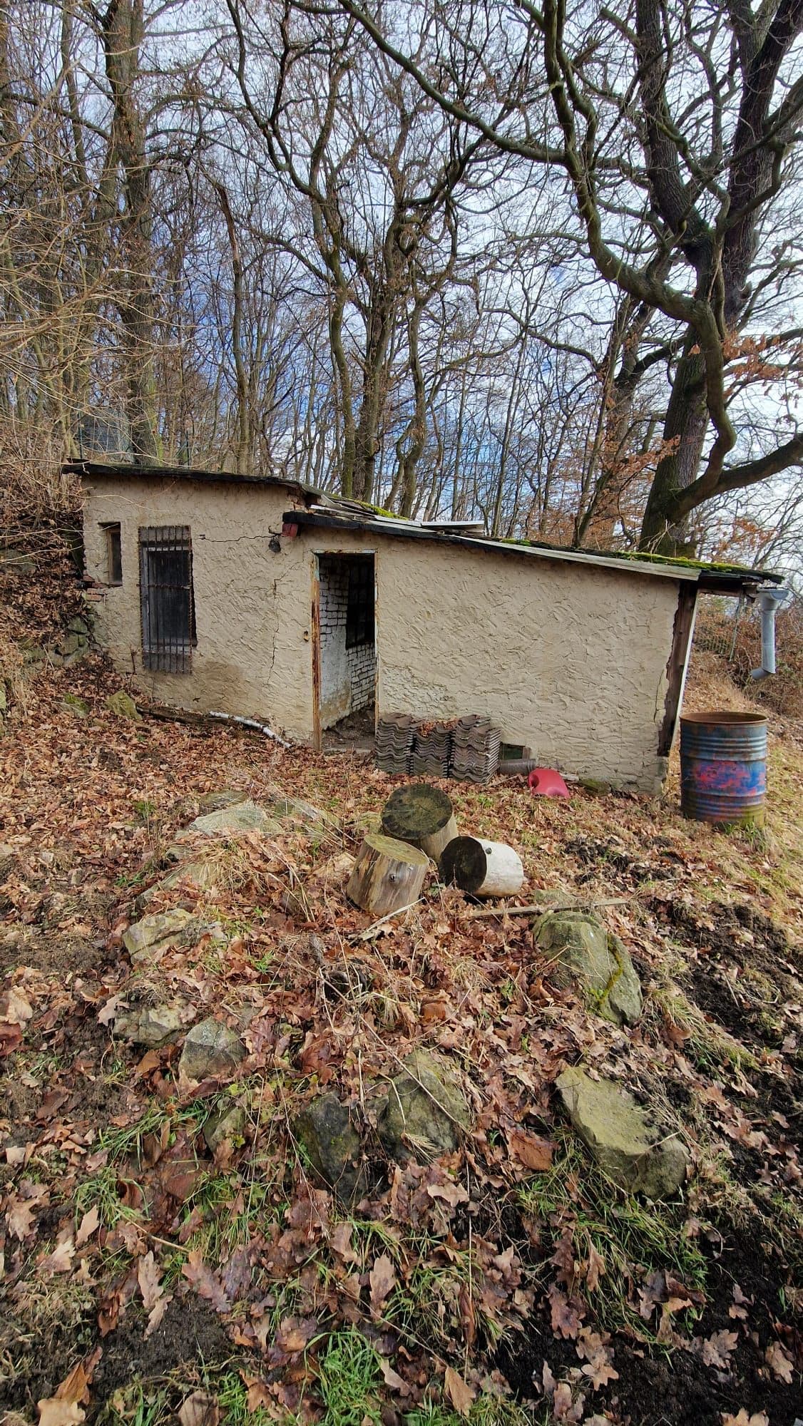 Pozemek 🏡 Pronájem stavebního pozemku v Krupce – příležitost pro nadšence, kteří mu vdechnou nový život! Pozemek 🏡 Pronájem stavebního pozemku v Krupce – příležitost pro nadšence, kteří mu vdechnou nový život!