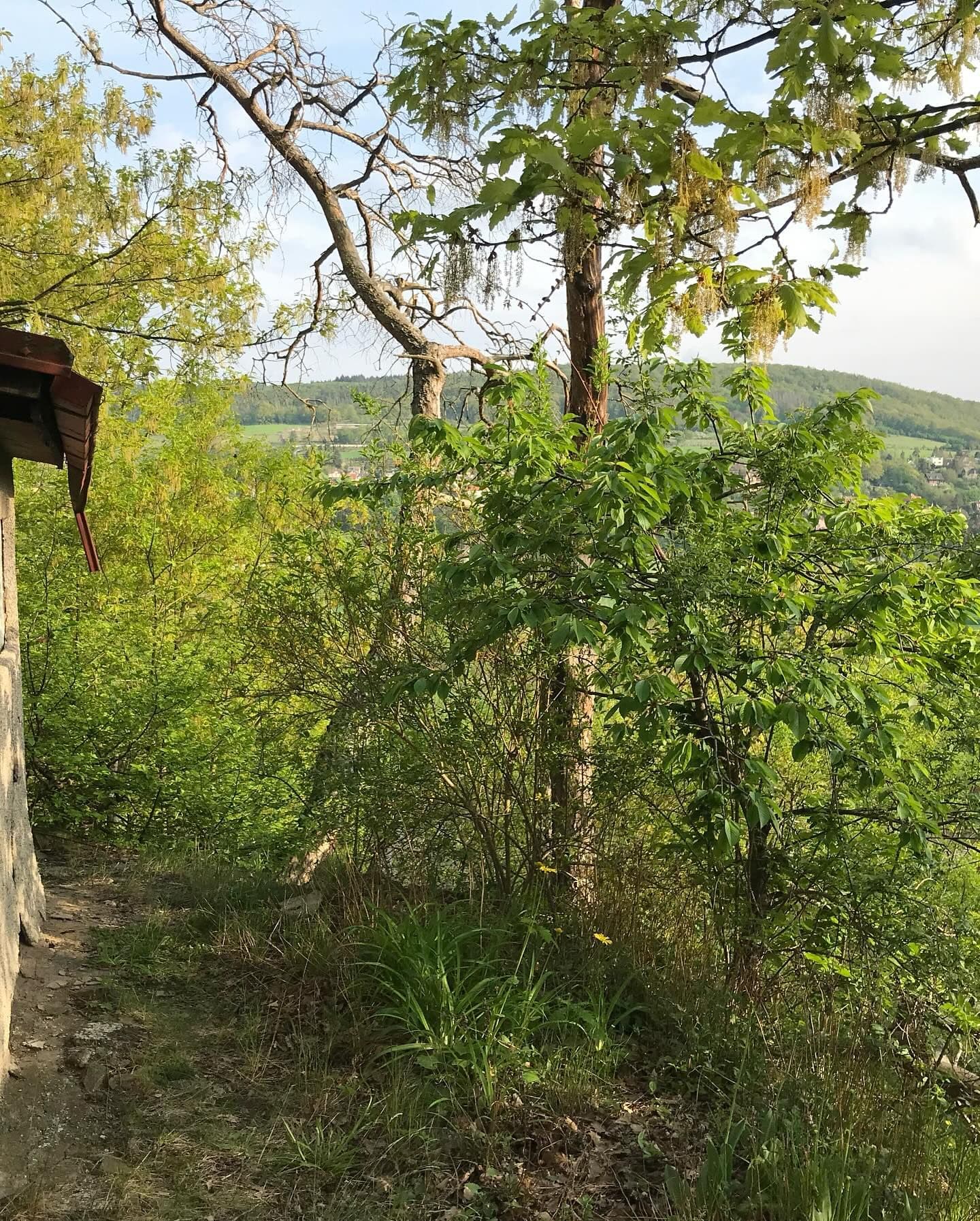 Pozemek 🏡 Prodej svažitého pozemku s chatou k rekonstrukci – Černošice, Slunečná Pozemek 🏡 Prodej svažitého pozemku s chatou k rekonstrukci – Černošice, Slunečná