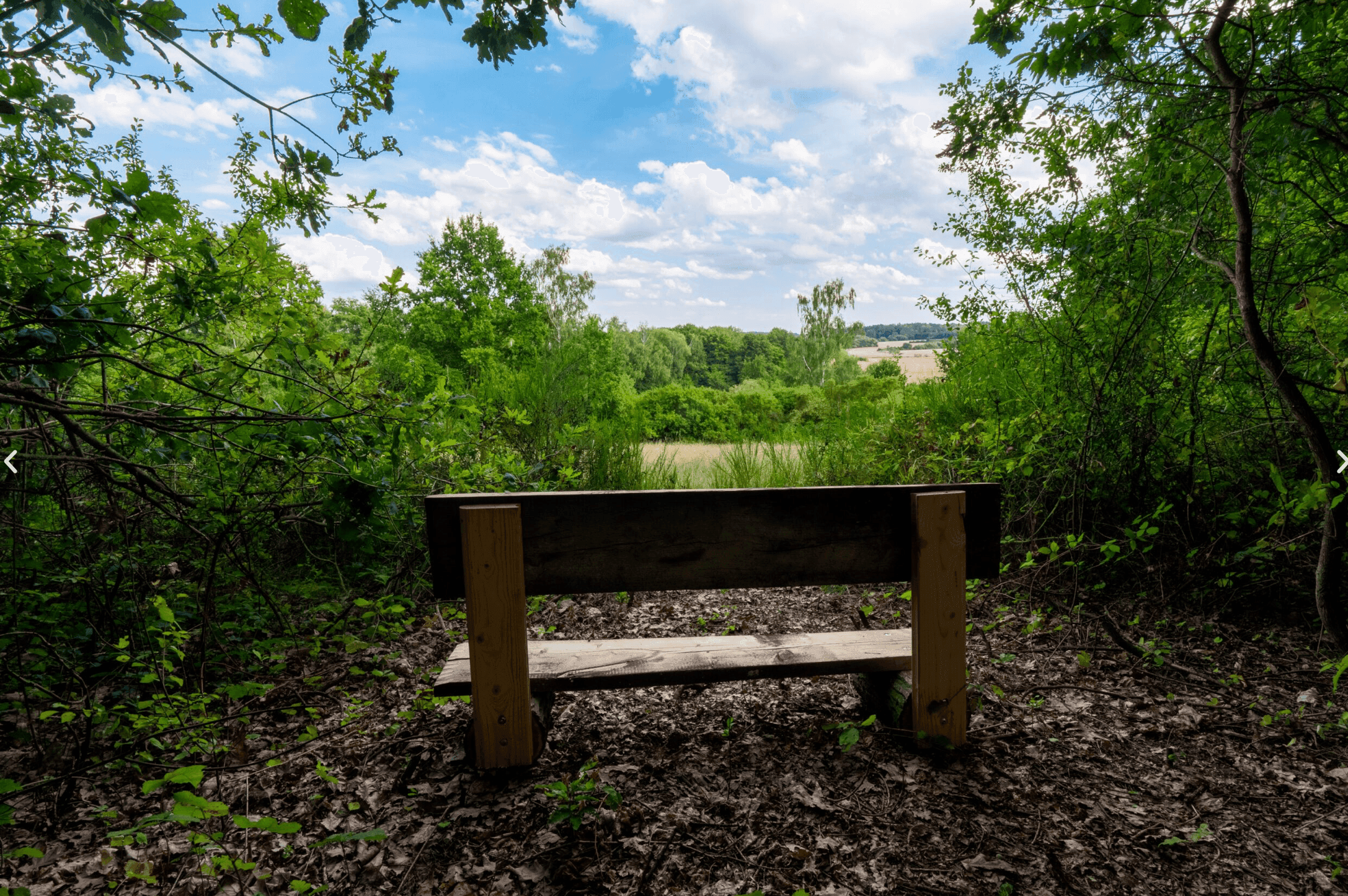Pozemek 🏡 Na prodej: Glamping Posázaví - investice s atmosférou Pozemek 🏡 Na prodej: Glamping Posázaví - investice s atmosférou