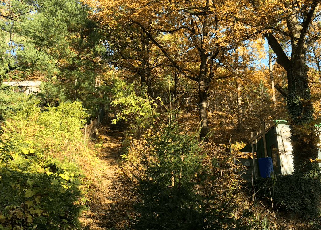 Pozemek 🏡 Prodej svažitého pozemku s chatou k rekonstrukci – Černošice, Slunečná