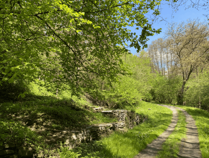 Pozemek 🏡 Prodej rozsáhlých rekreačních pozemků se stavbami v přírodě – Blažim nad Vltavou Pozemek 🏡 Prodej rozsáhlých rekreačních pozemků se stavbami v přírodě – Blažim nad Vltavou