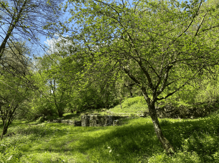 Pozemek 🏡 Prodej rozsáhlých rekreačních pozemků se stavbami v přírodě – Blažim nad Vltavou Pozemek 🏡 Prodej rozsáhlých rekreačních pozemků se stavbami v přírodě – Blažim nad Vltavou